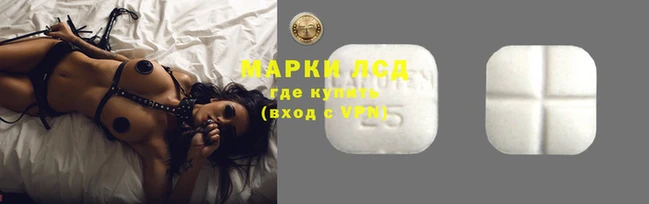 mdma Бородино