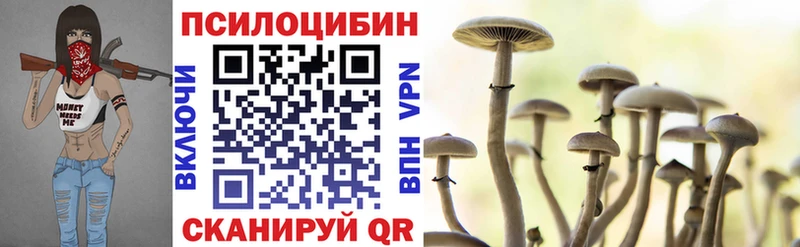 Купить где  Черемхово  Псилоцибиновые грибы мухоморы 